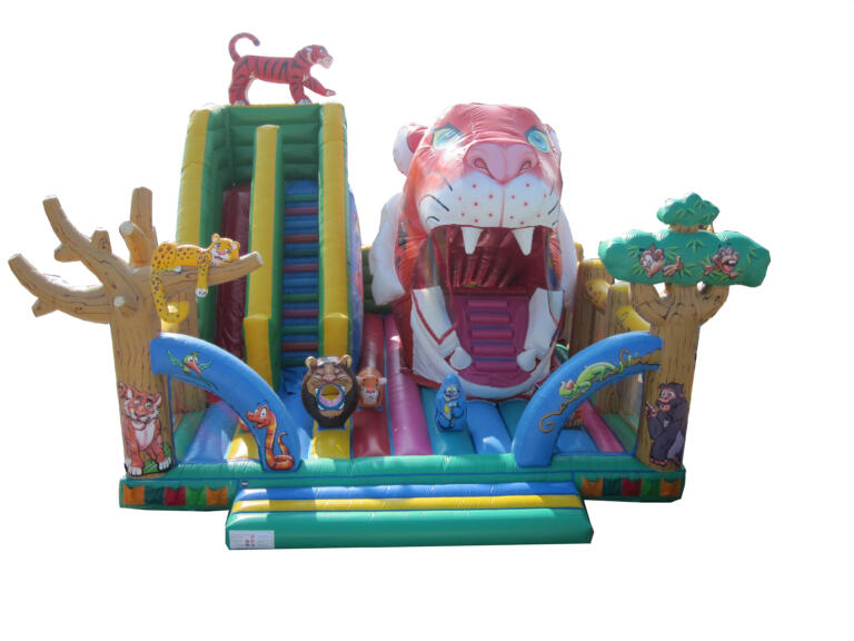 14002 TRAGON MULTI + TOBOGAN LATERAL